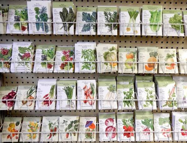 Vegetable seeds - Photo by Helen Krayenhoff