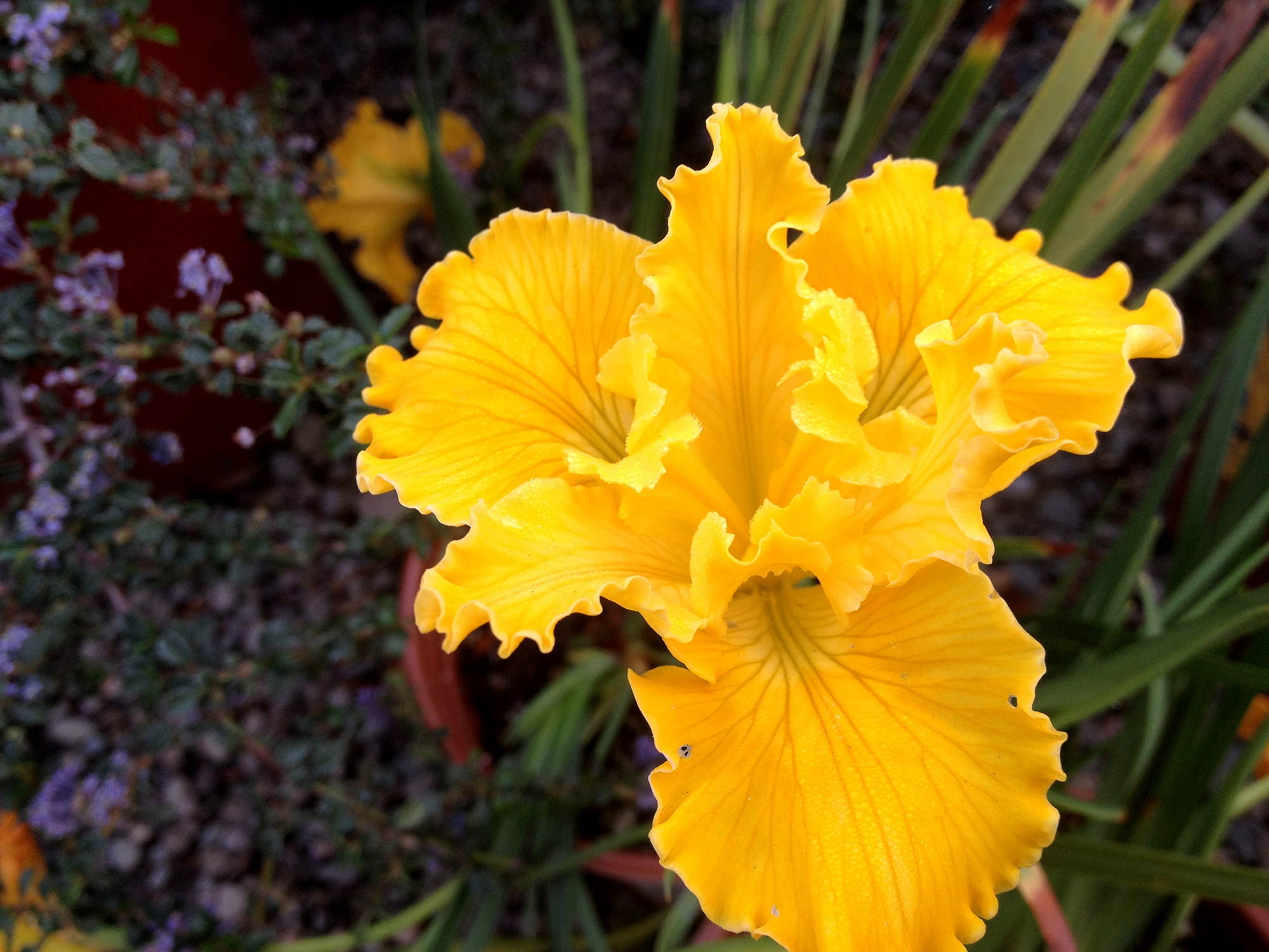 Photo by Stephanie Megibben