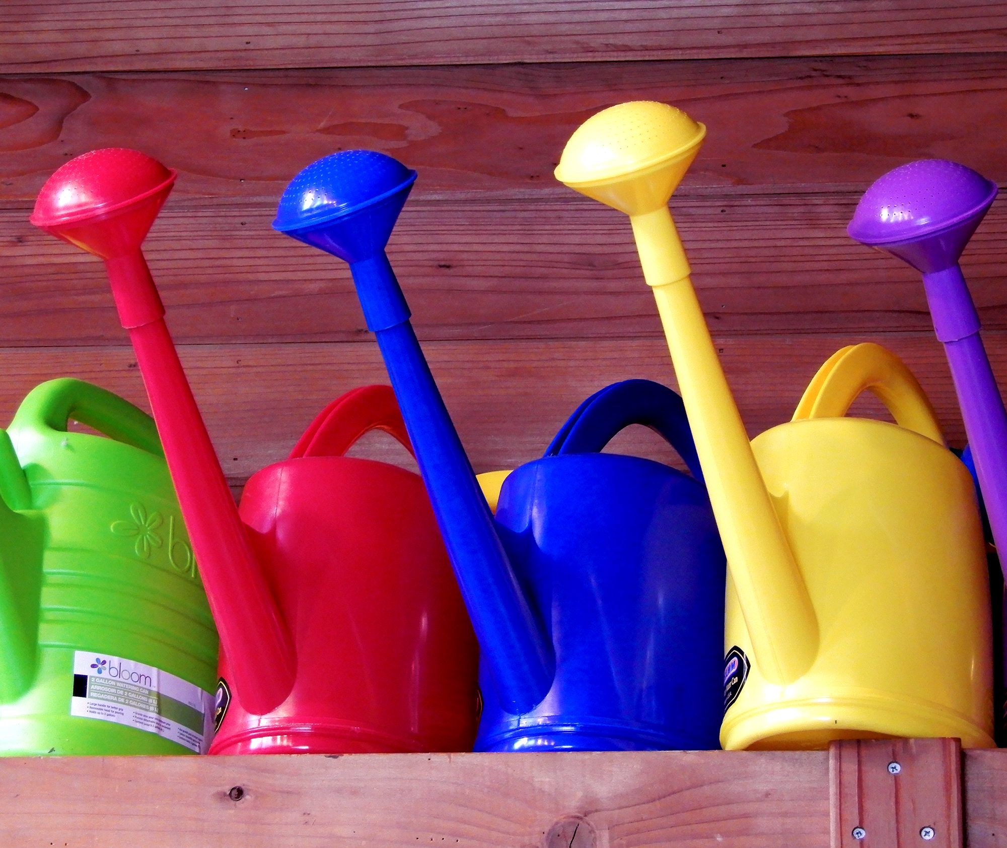 watering cans - Photo by Helen Krayenhoff