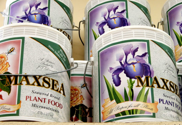MaxSea plant foods - Photo by Helen Krayenhoff