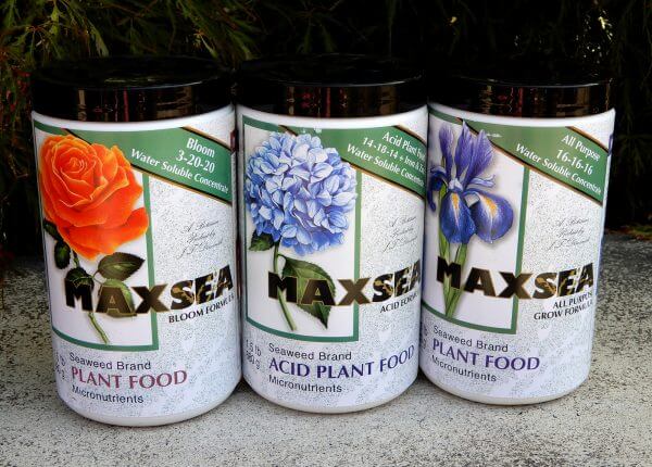 MaxSea Plant Food - Photo by Helen Krayenhoff