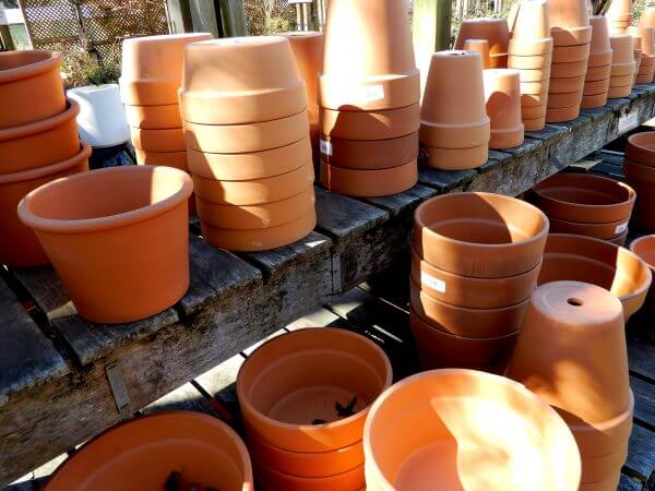 terra cotta pots - Photo by Helen Krayenhoff