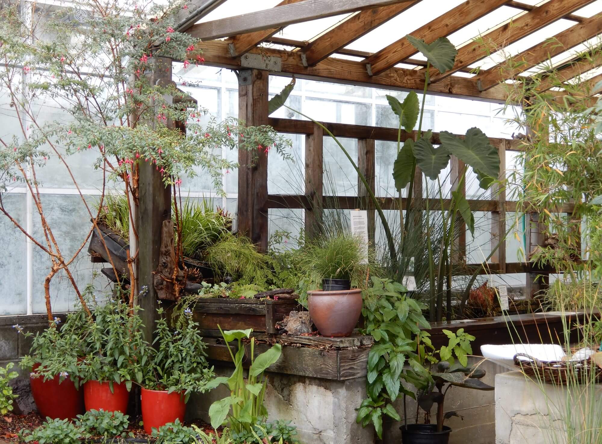 Home Berkeley Horticultural Nursery Berkeley