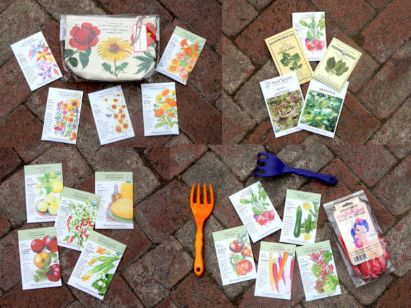 seed collections - Photo by Helen Krayenhoff