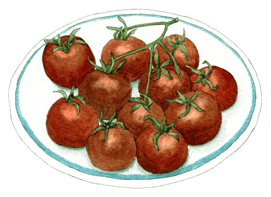 black cherry tomatoes - Illustration by Helen Krayenhoff