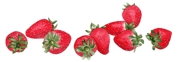 strawberries-in-a-row