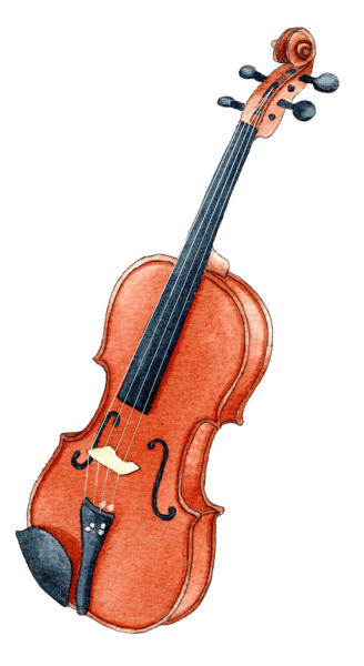 fiddle - illustration by Helen Krayenhoff